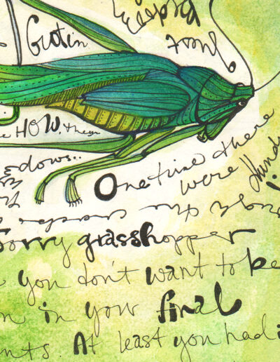 art print grasshopper detail vibrant green with ornate text archival limited edition of 40 signed ink and watercolor wall art