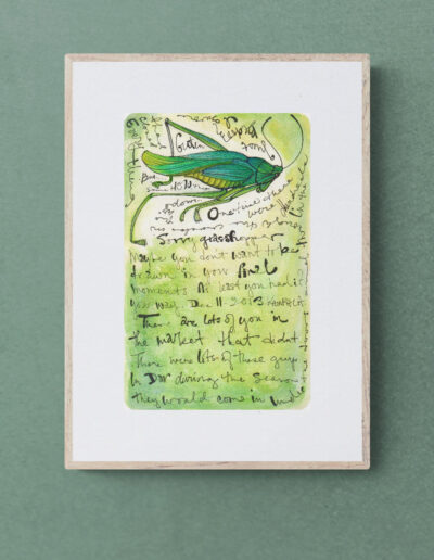 art print grasshopper green and ornate in wood frame on green wall archival limited edition ink and watercolor wall art