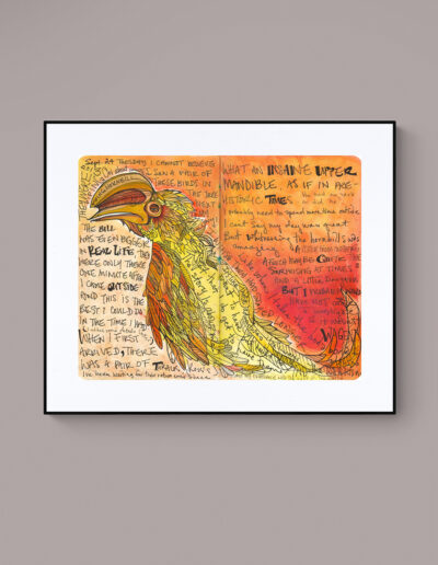 art print ugandan hornbill orange feathers black frame grey wall archival signed limited edition ink and watercolor wall art