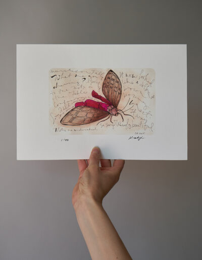 art print moth pink body and hind wings archival signed limited edition of 40 ink and watercolour wall art with embossed logo